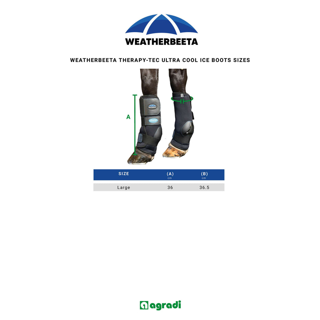 WeatherBeeta Ice Boots Therapy-Tec II Ultra Cool Black