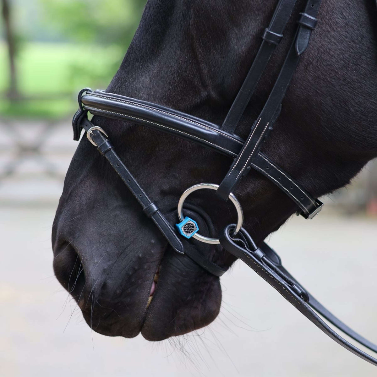 Metalab Solid Loose Ring Snaffle Flexi