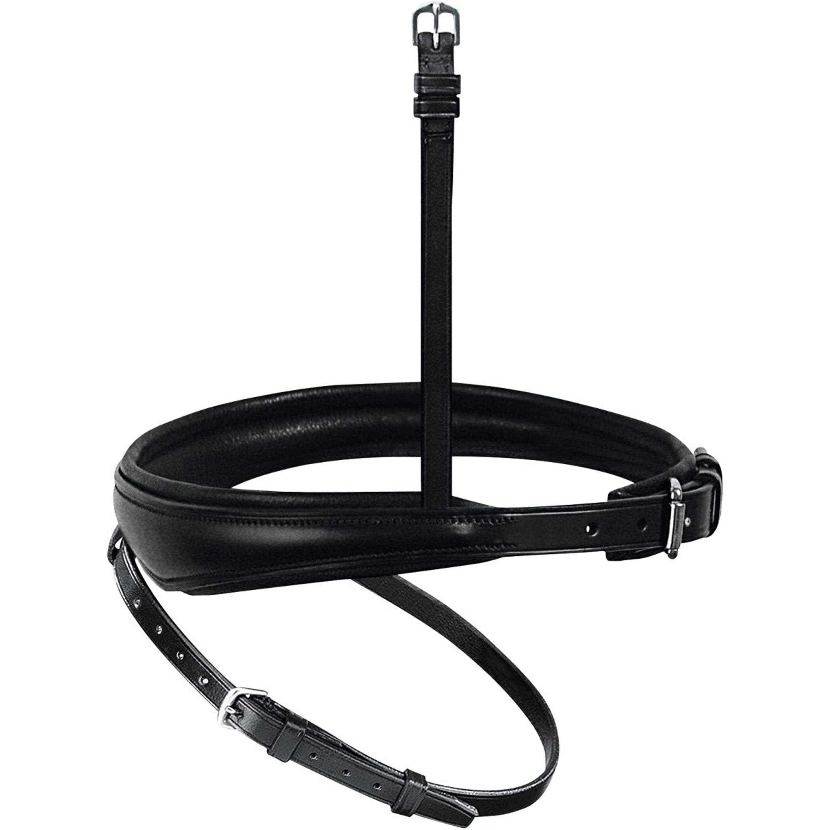 Passier Nose Band English Combined Anatomic Black/Silver