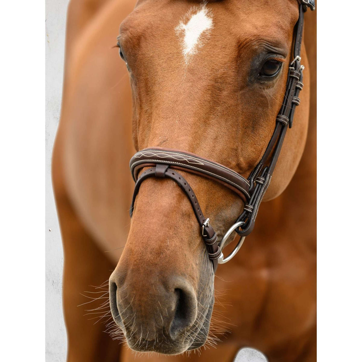 PS of Sweden Bridle Stockholm Brown