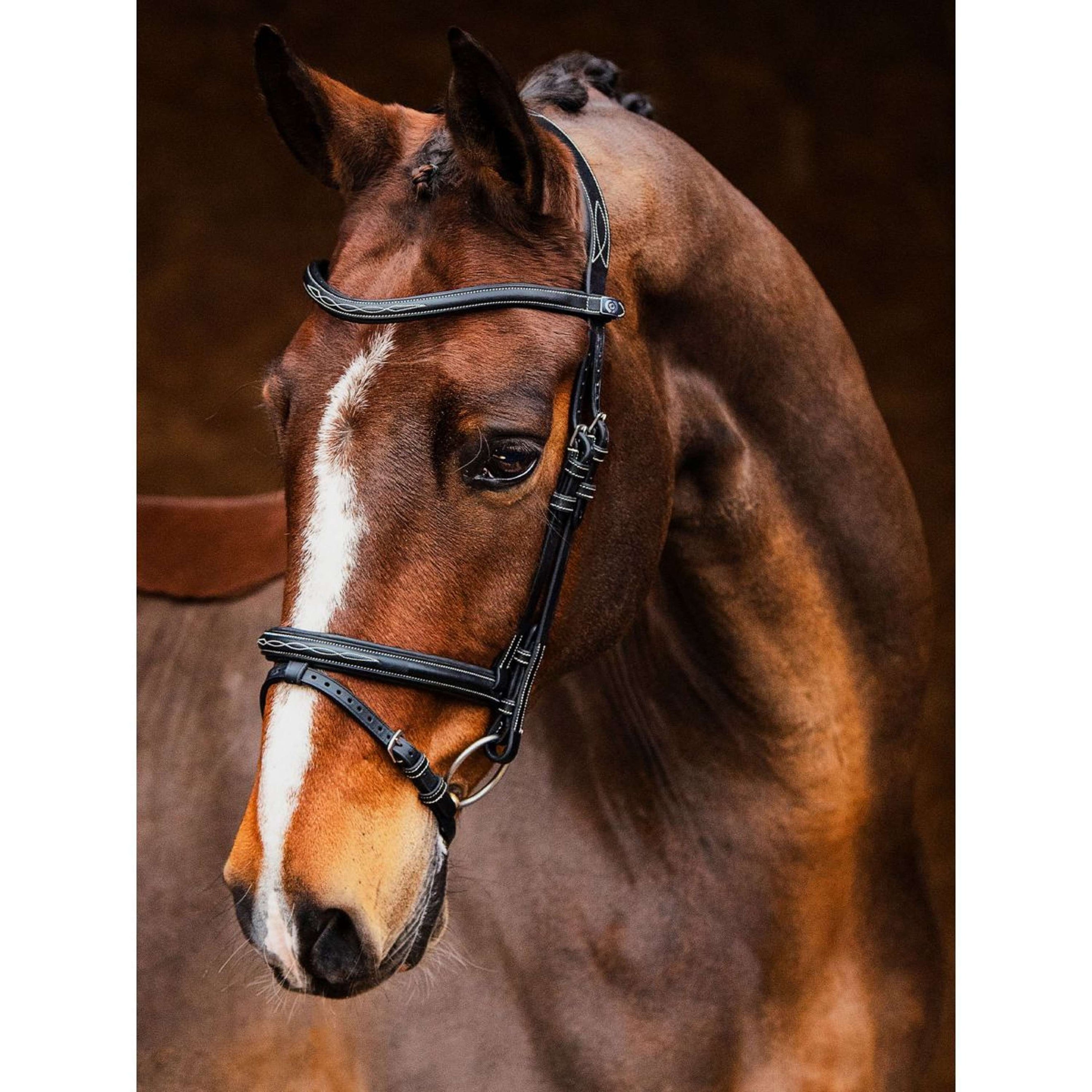 PS of Sweden Bridle Stockholm Black