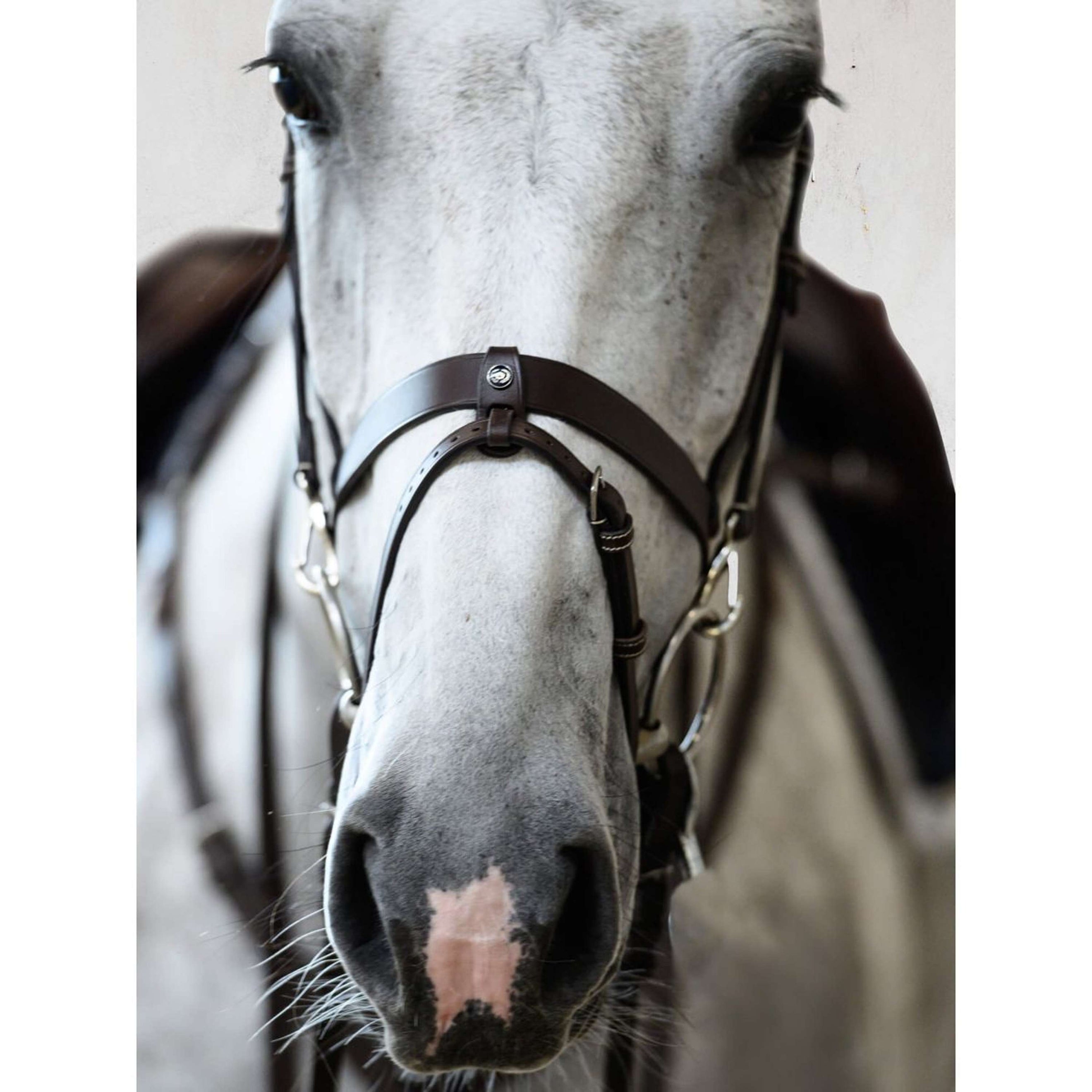 PS of Sweden Bridle London Brown