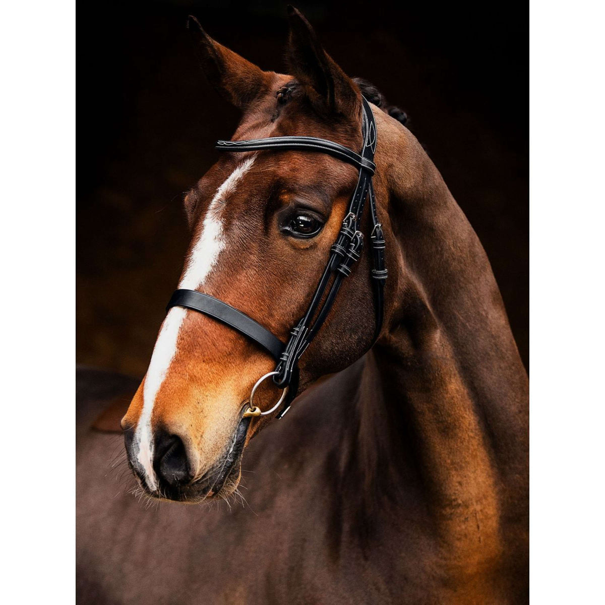 PS of Sweden Bridle Wellington Black