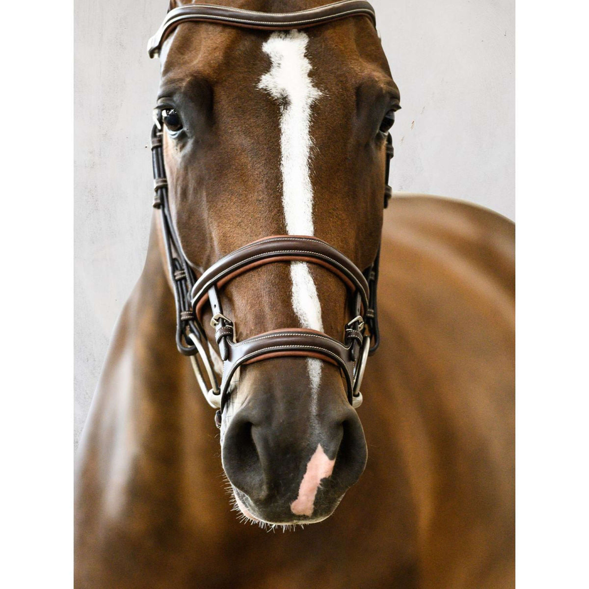 PS of Sweden Bridle Paris Brown