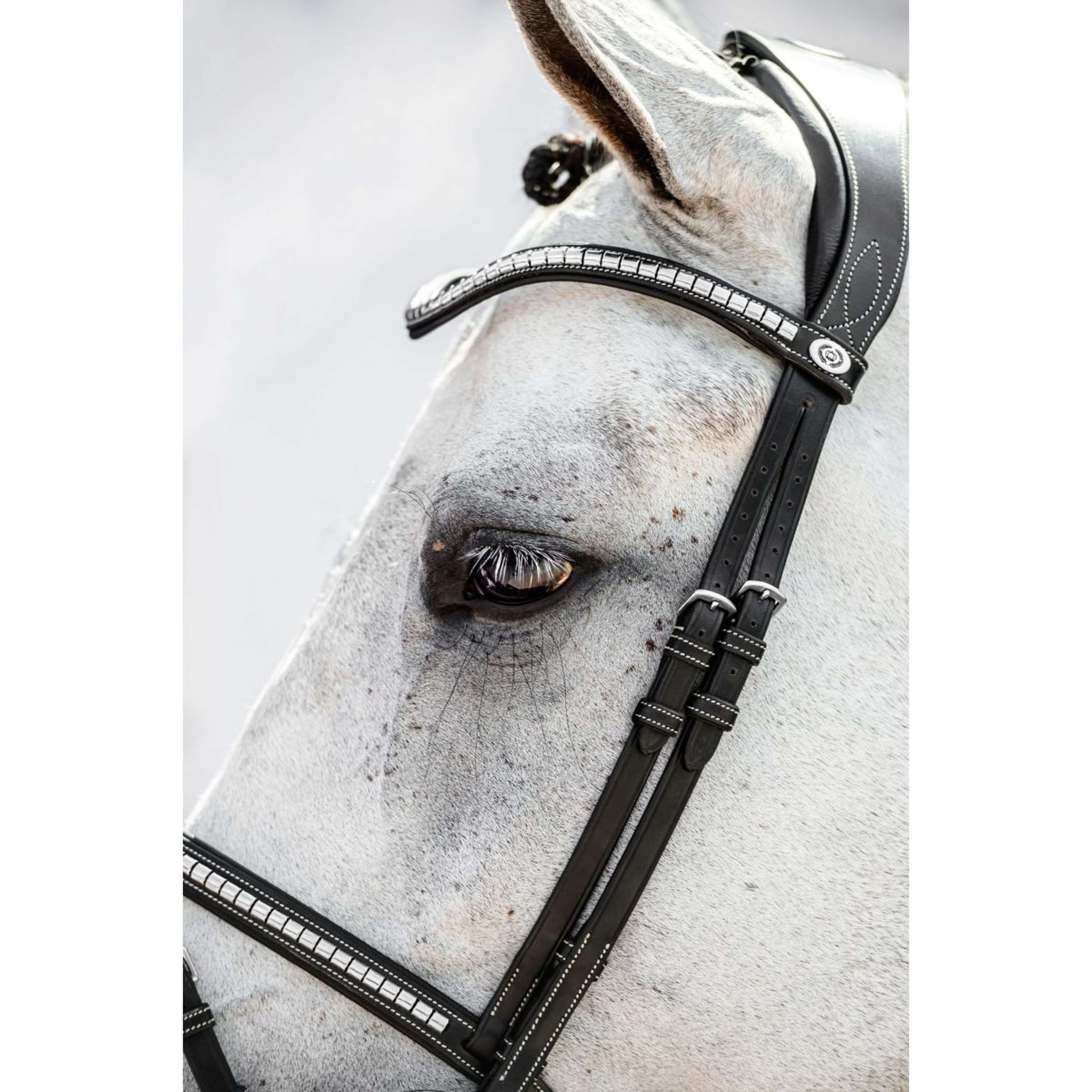 PS of Sweden Bridle Amsterdam Black