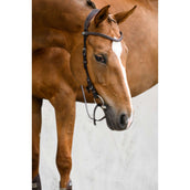 PS of Sweden Bridle Helsinki Brown