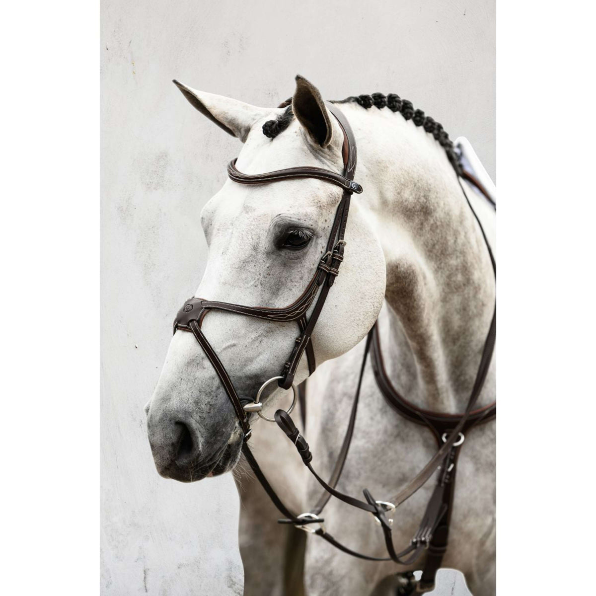 PS of Sweden Bridle Athens Brown