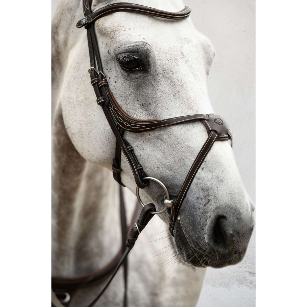 PS of Sweden Bridle Athens Brown