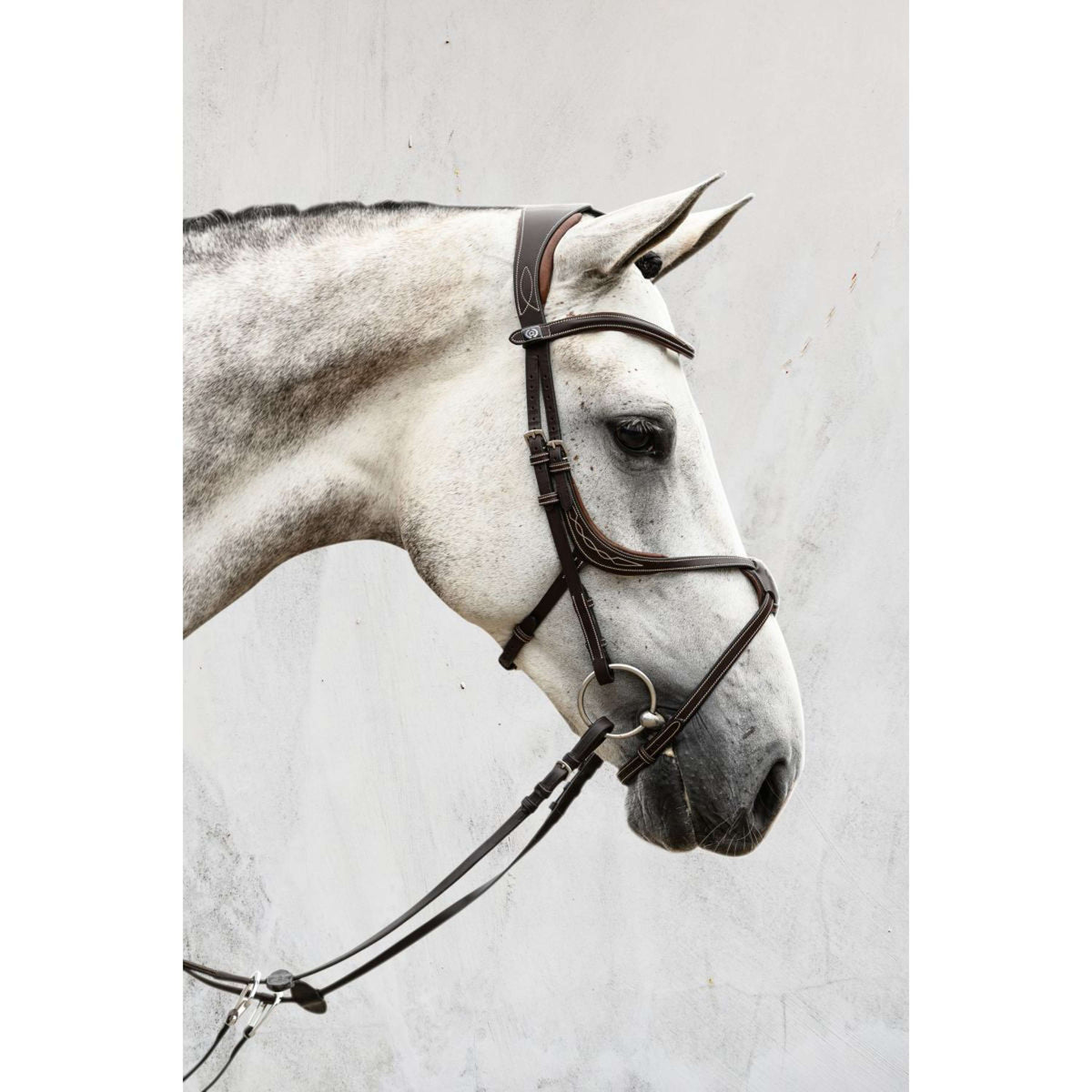 PS of Sweden Bridle Athens Brown