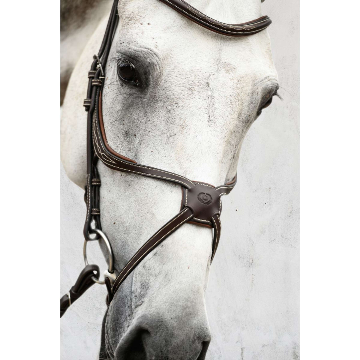 PS of Sweden Bridle Athens Brown