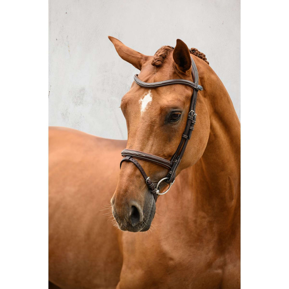 PS of Sweden Bridle Stockholm Brown