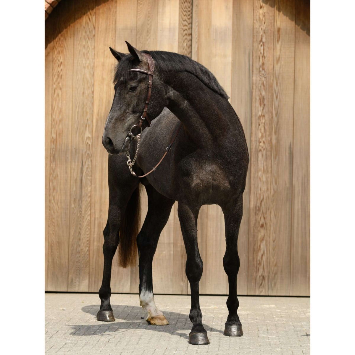 PS of Sweden Bridle Helsinki Black