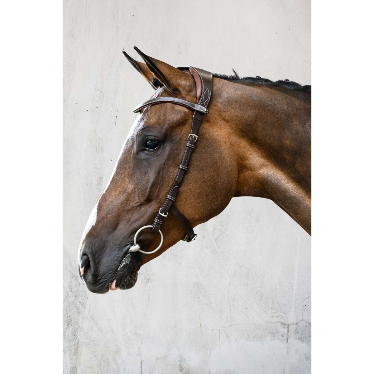 PS of Sweden Bridle Helsinki Brown