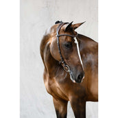 PS of Sweden Bridle Helsinki Brown