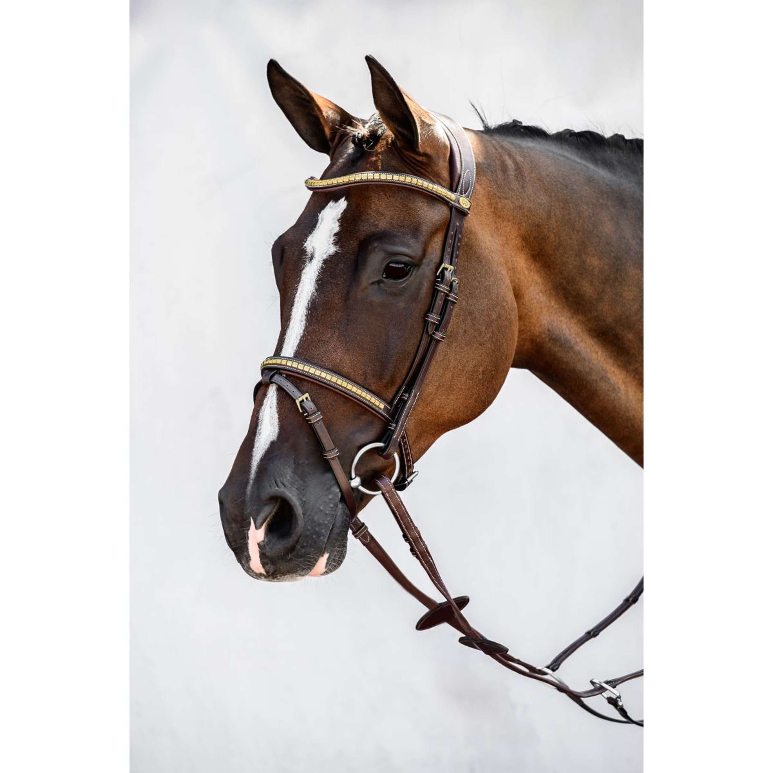 PS of Sweden Bridle Antwerp Brown