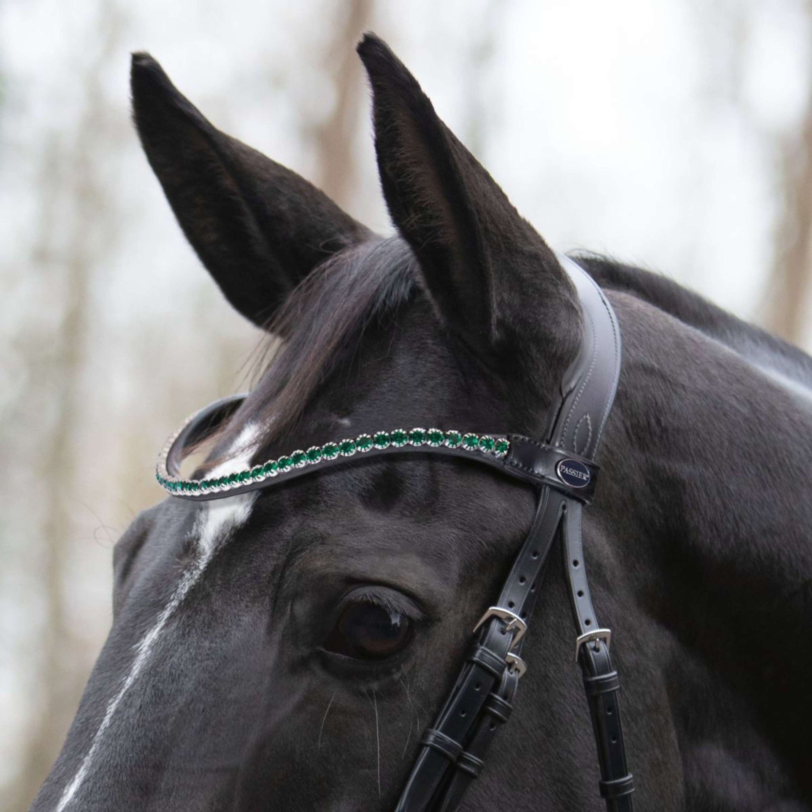 Passier Browband Crystal Curved Black