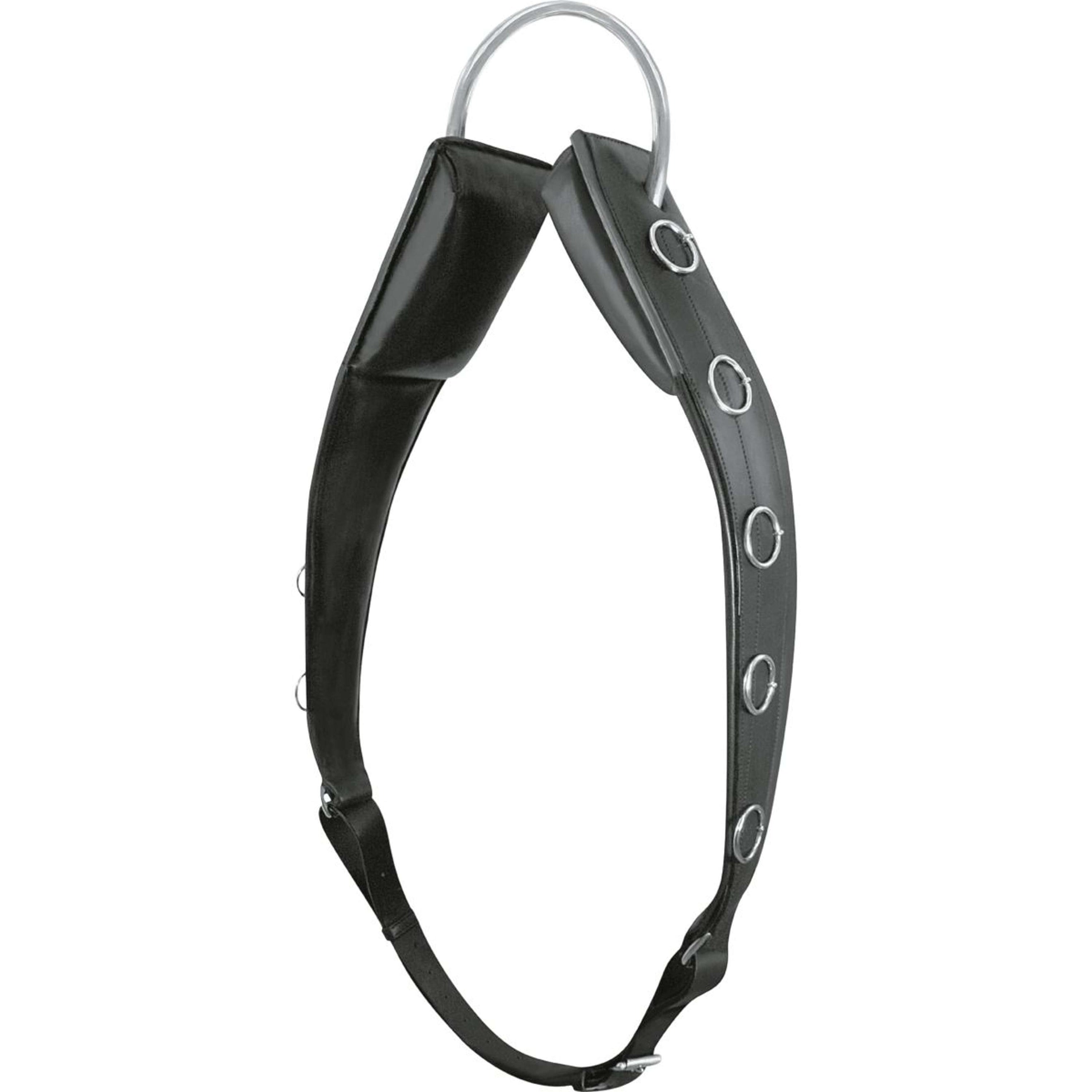 Passier Lunging Girth Horst Becker Black