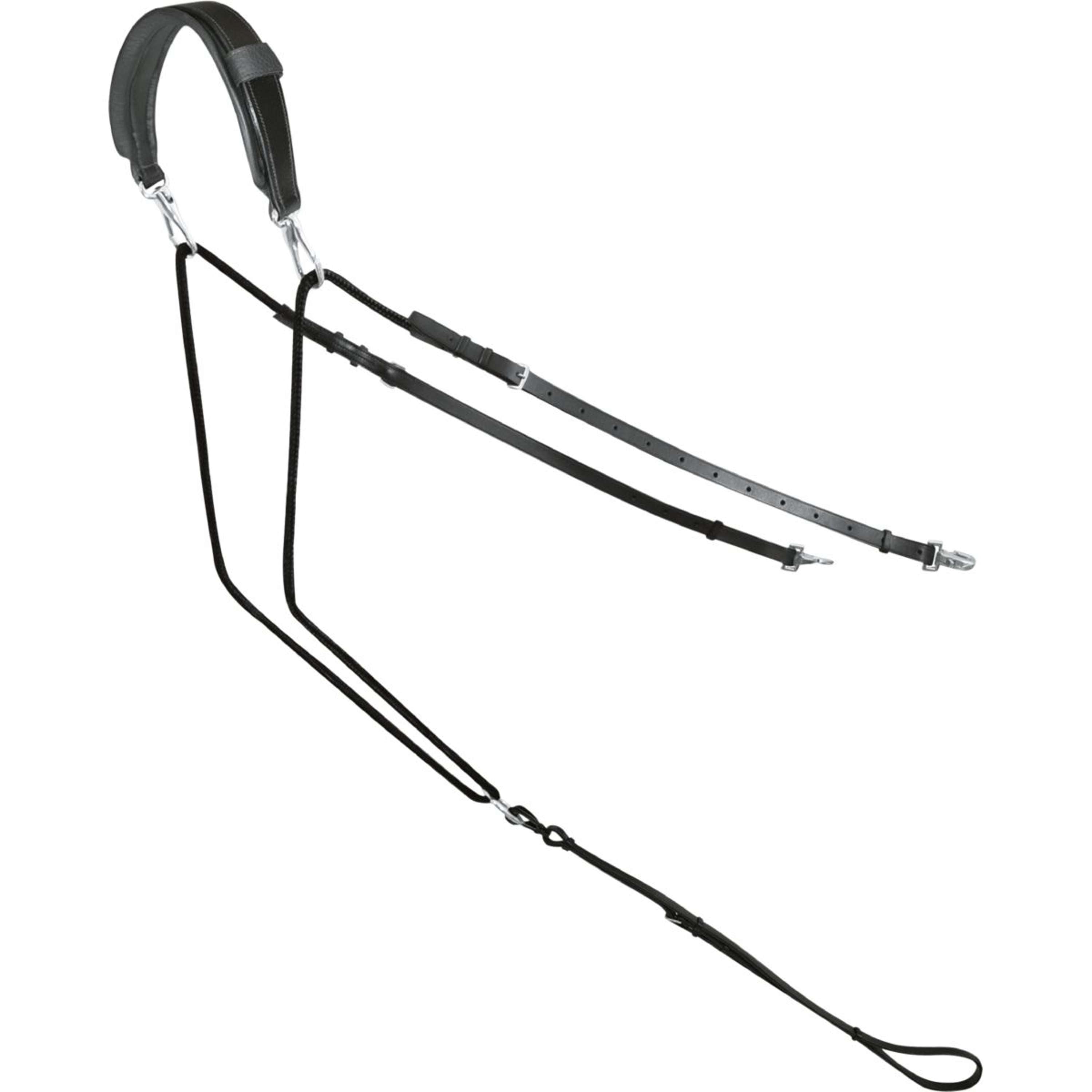 Passier Side Reins Horst Becker Black