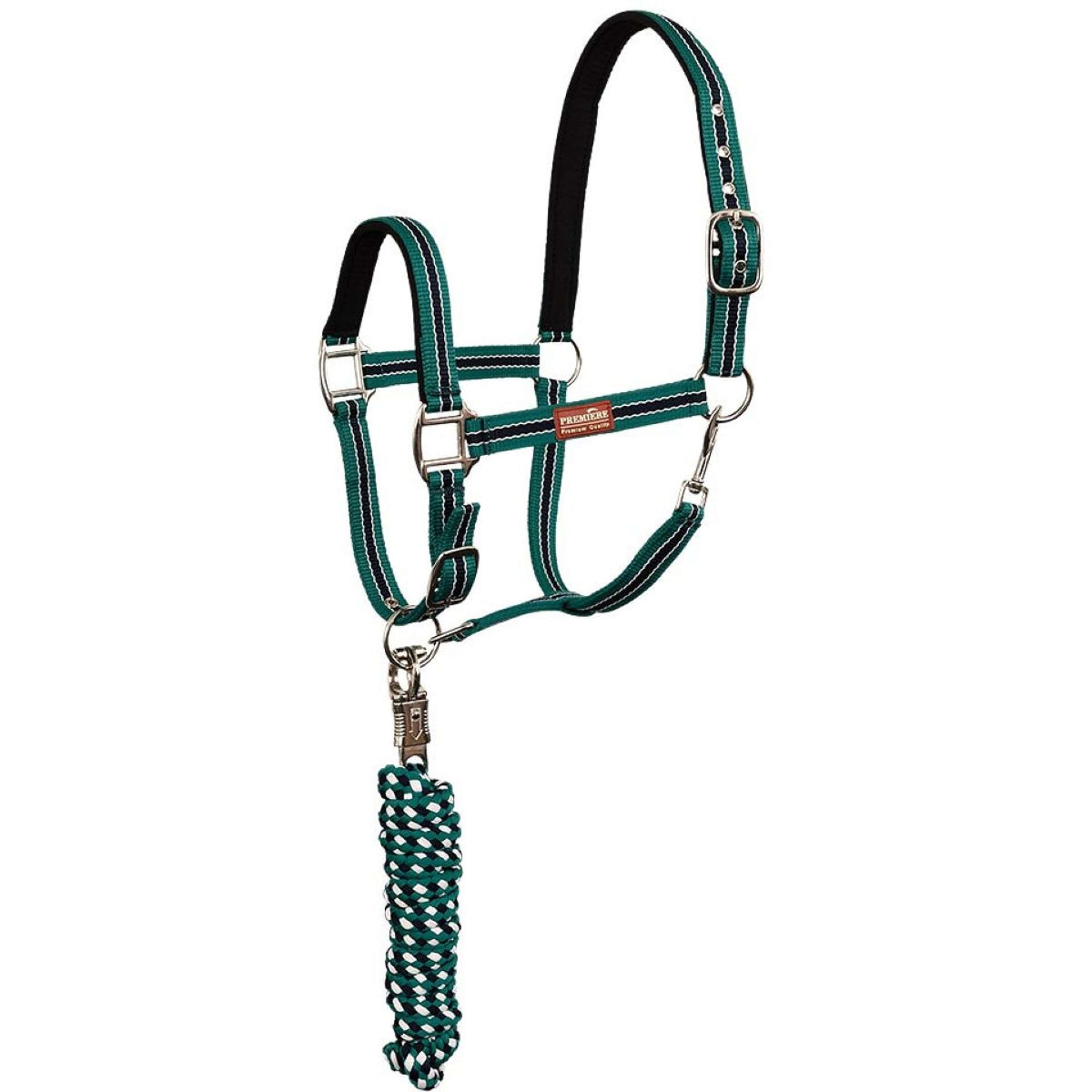 Premiere Head Collar Set with a Panic Snap Shady Glade