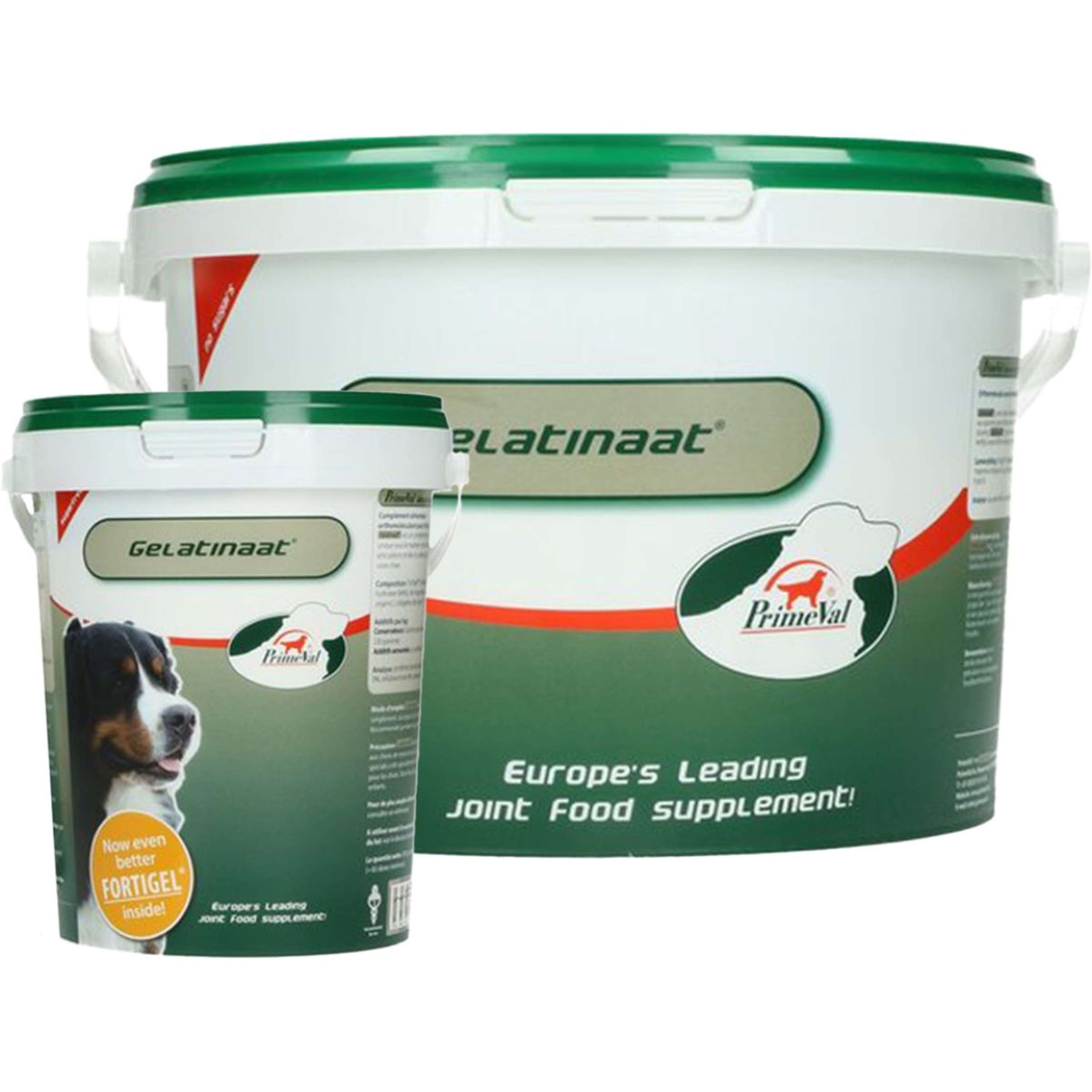 PrimeVal Gelatin Dog