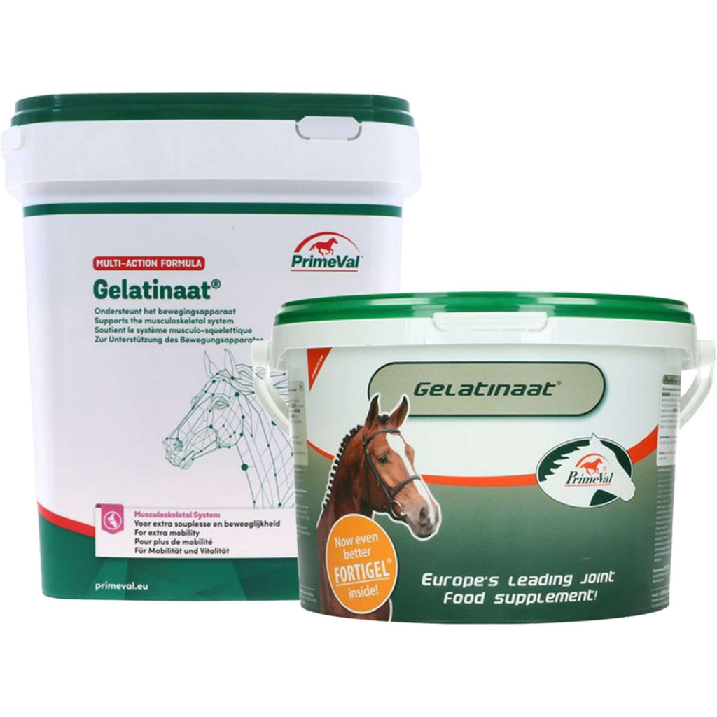 PrimeVal Gelatin Horse