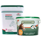 PrimeVal Gelatin Horse