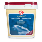 Sectolin Glucosamine Equivital Chondroitine and MSM