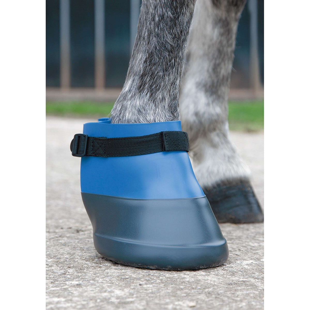 Shires Poultice Boot Blue