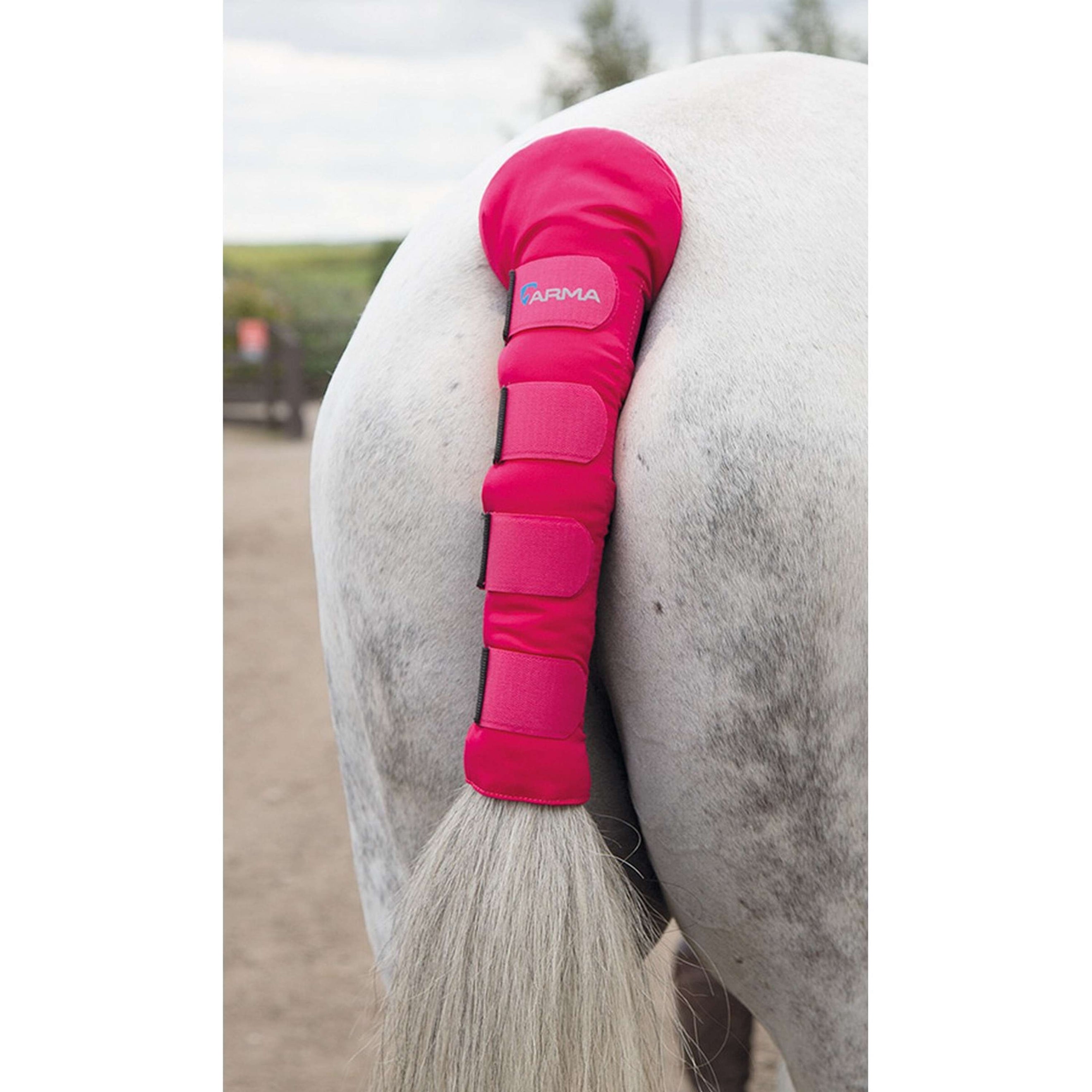 Arma by Shires Tail Guard Padded Pink