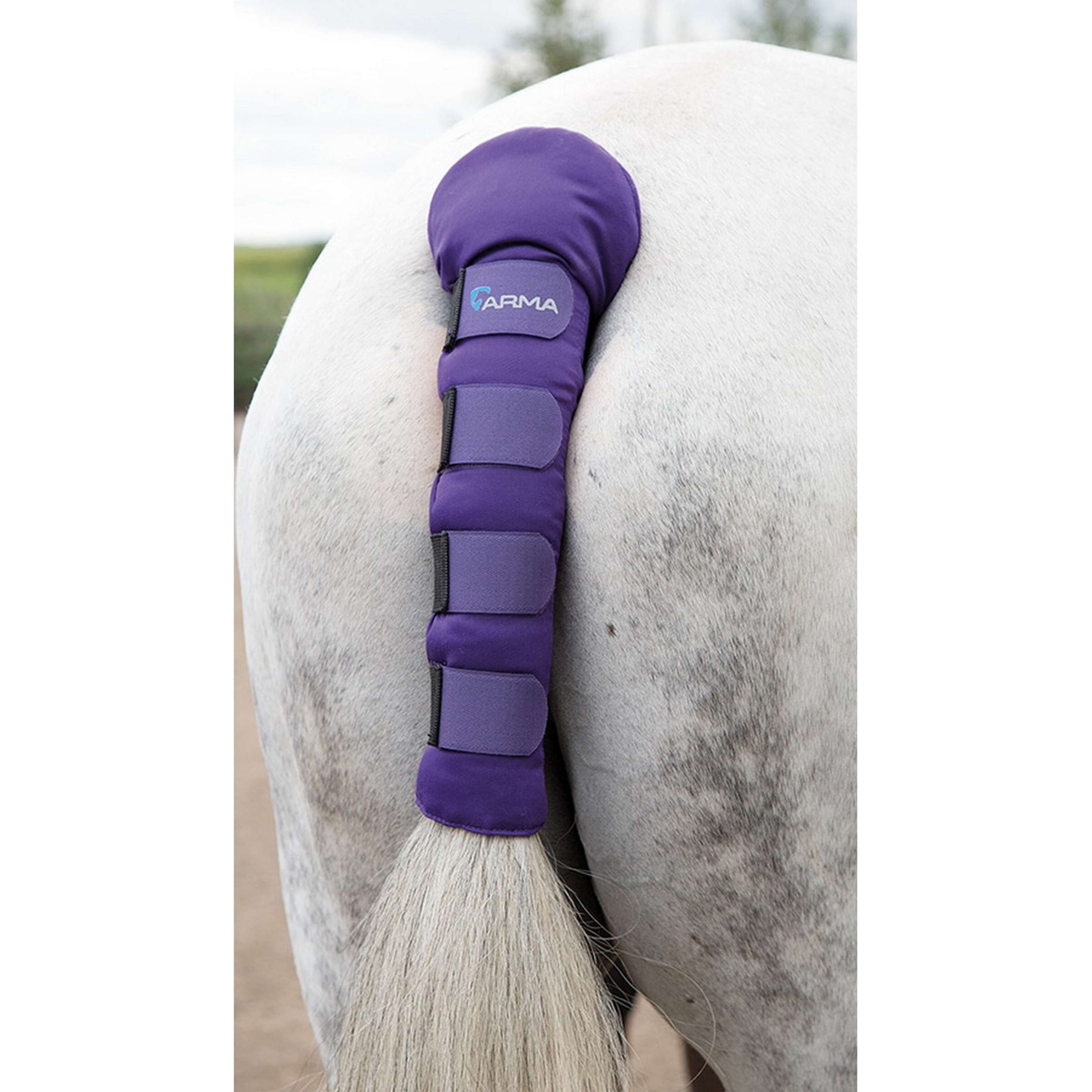 Arma by Shires Tail Guard Padded Purple