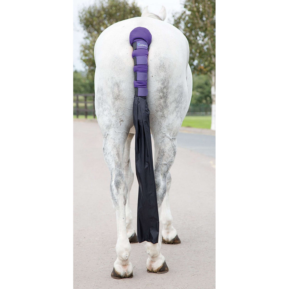 Arma by Shires Tail Guard Padded with Bag Purple