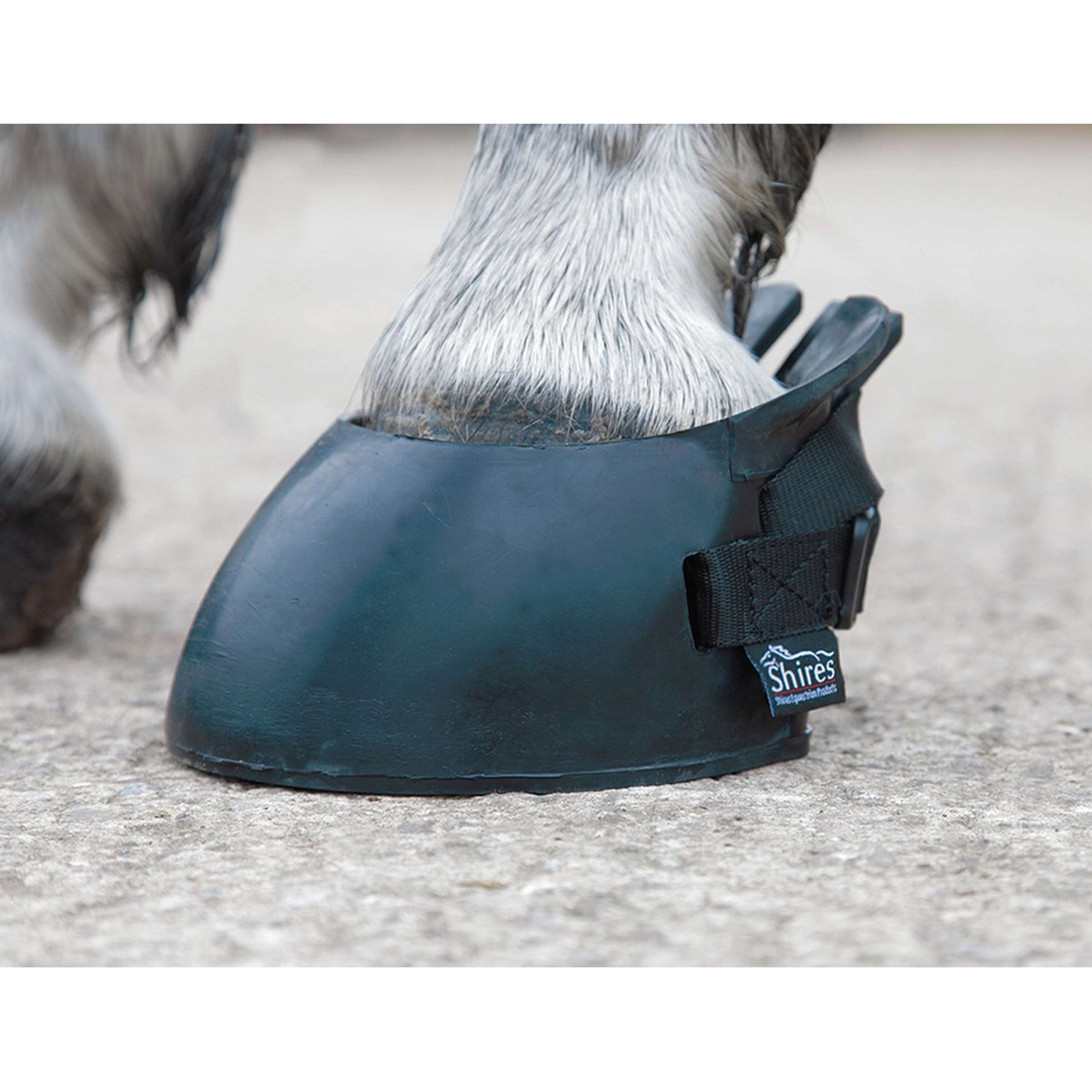 Shires Temporary Shoe Boot Black