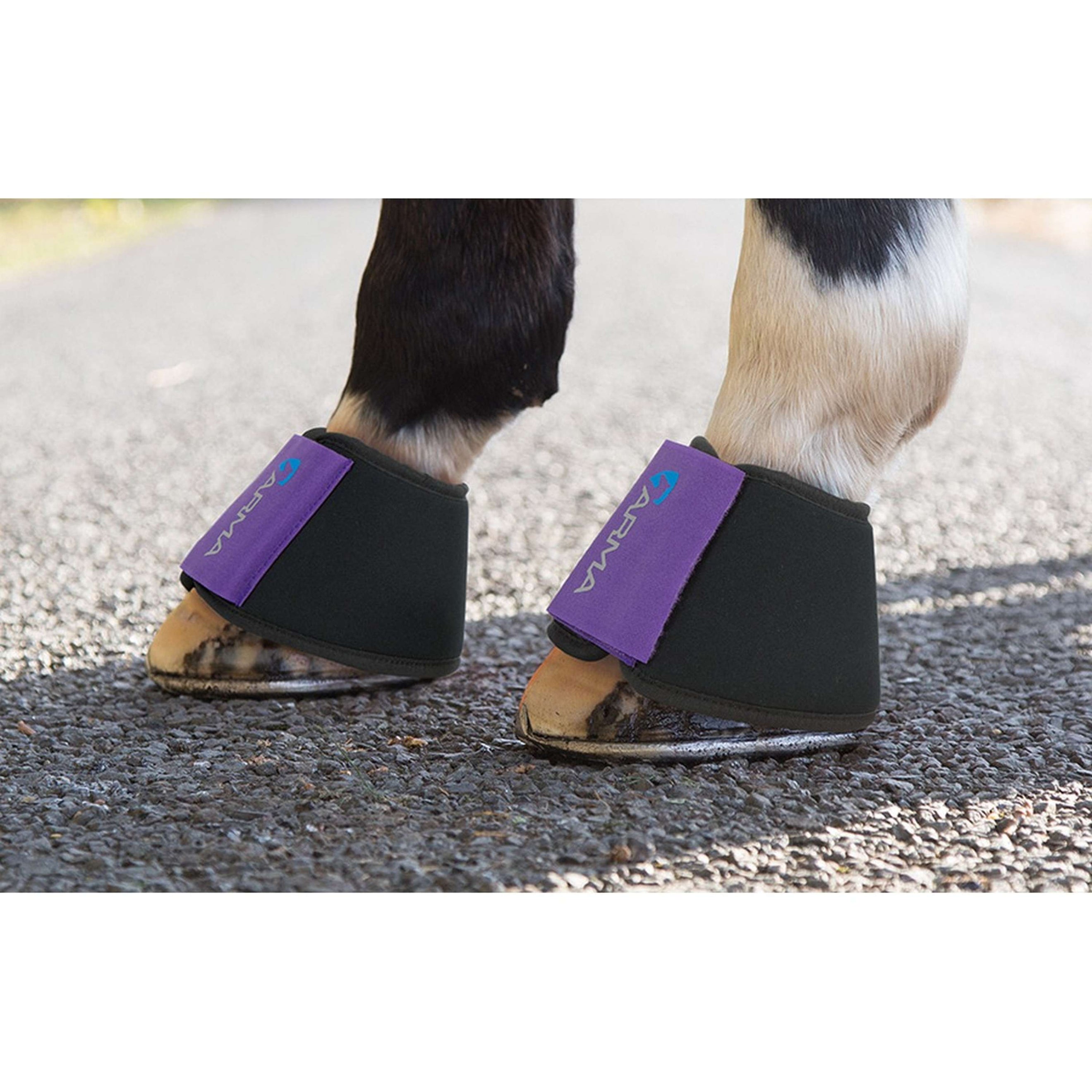 Arma by Shires Bell Boots Neoprene White