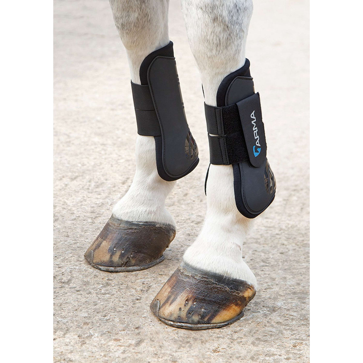 Arma by Shires Tendon Boots Black