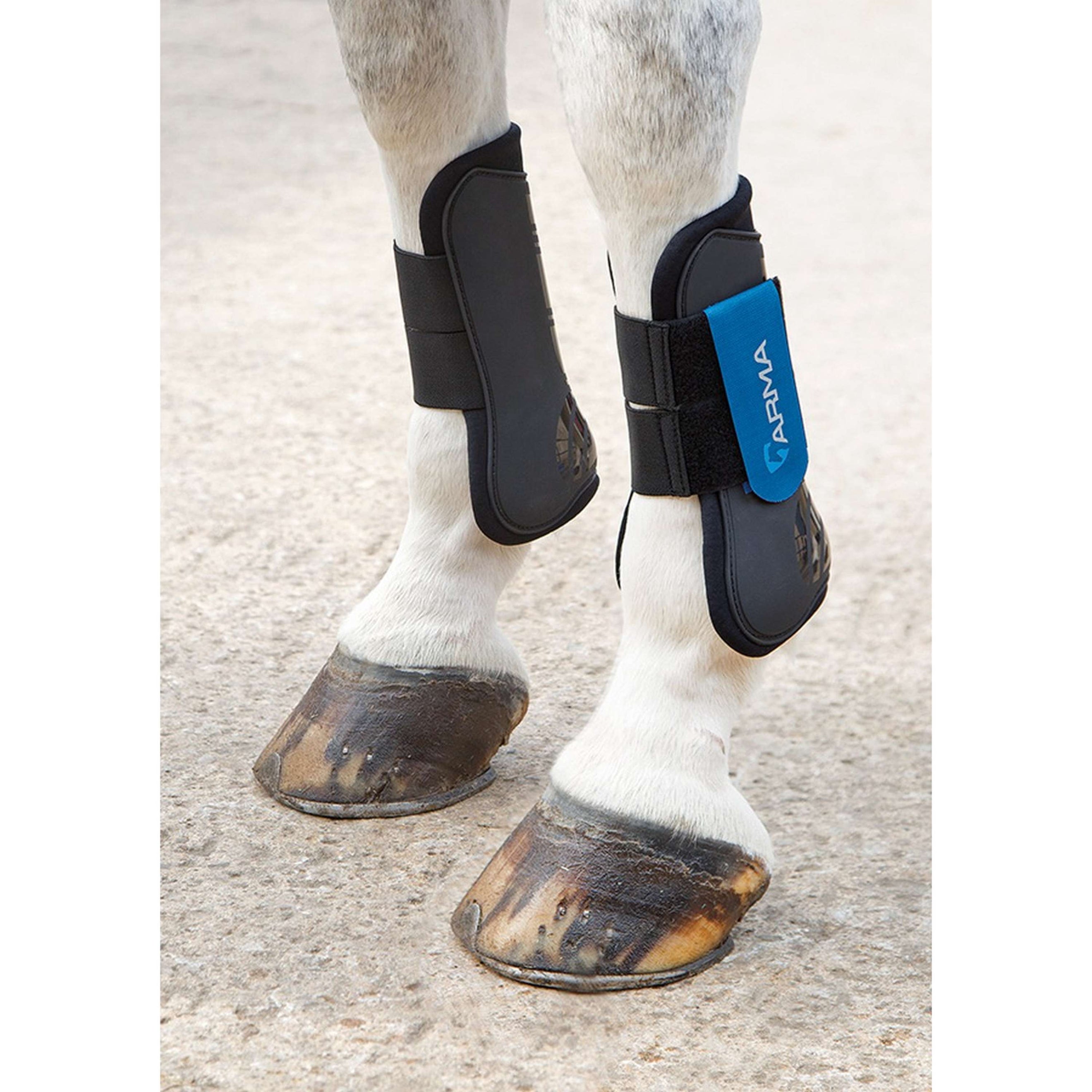 Arma by Shires Tendon Boots Black/Blue