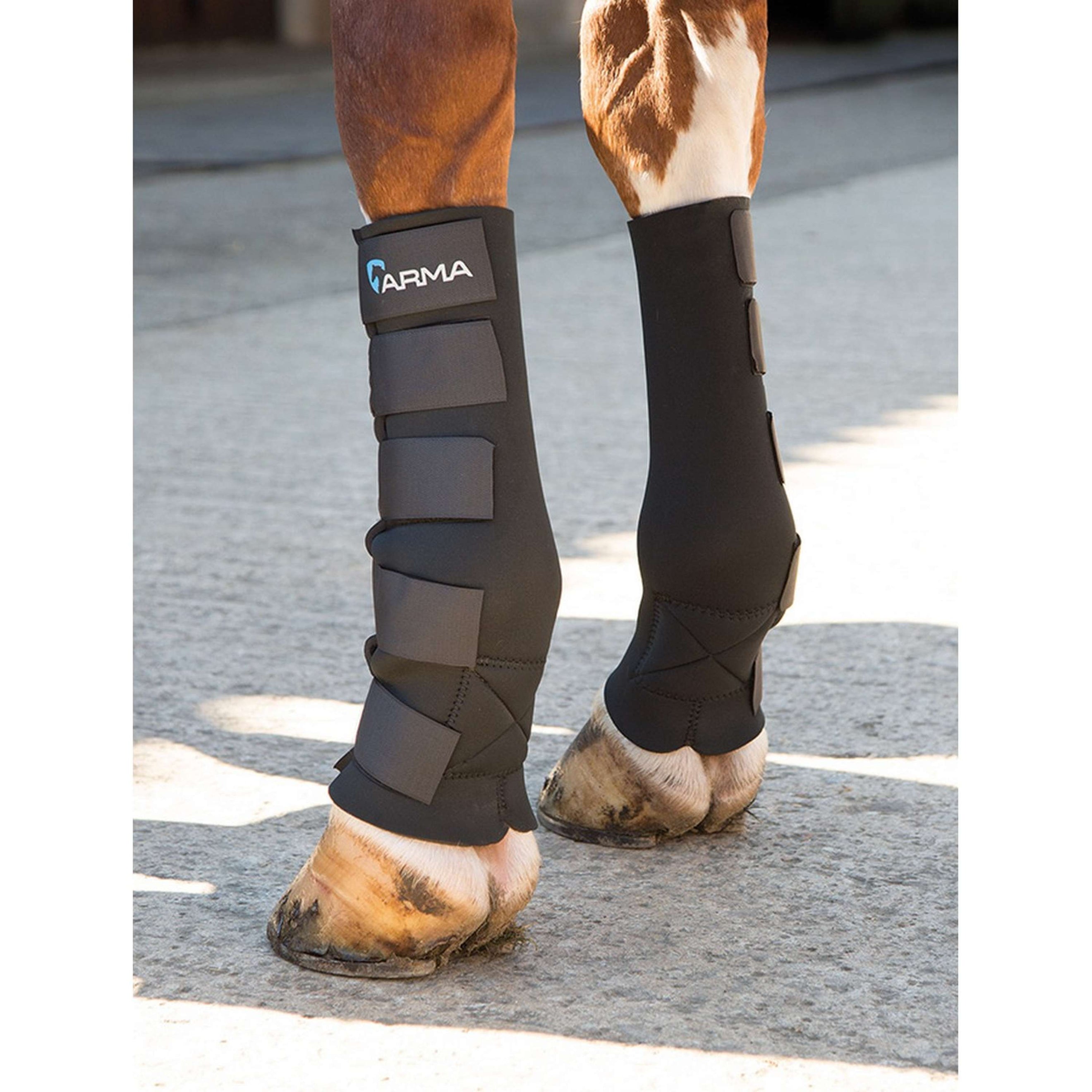 Arma by Shires Leg Protectors Black