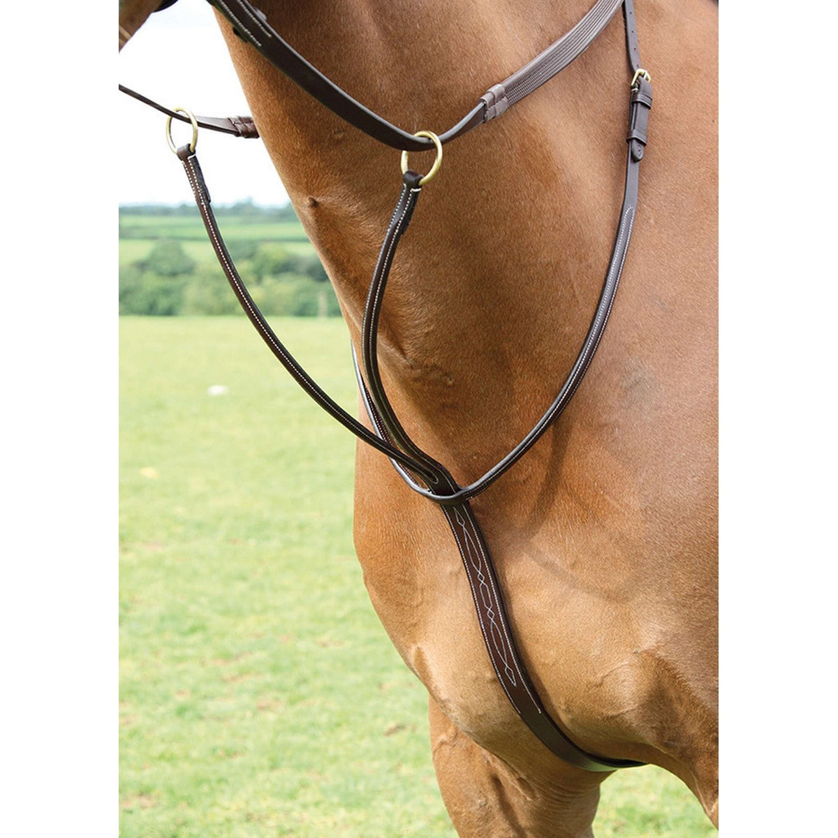 Salisbury Running Martingale Australian Nut