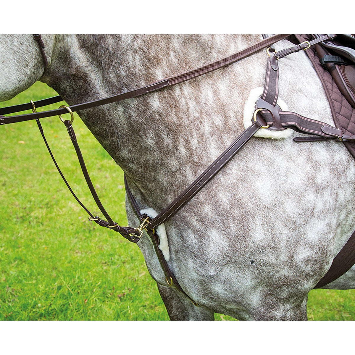 Salisbury Five Point Breastplate Havana