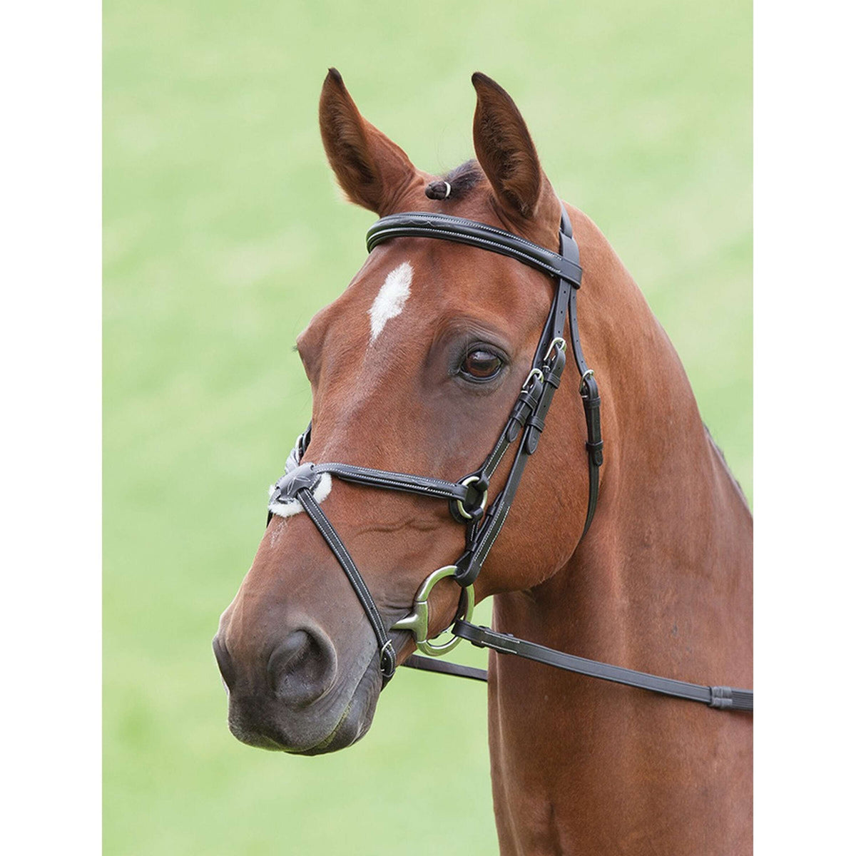 Salisbury Bridle Brackley Black