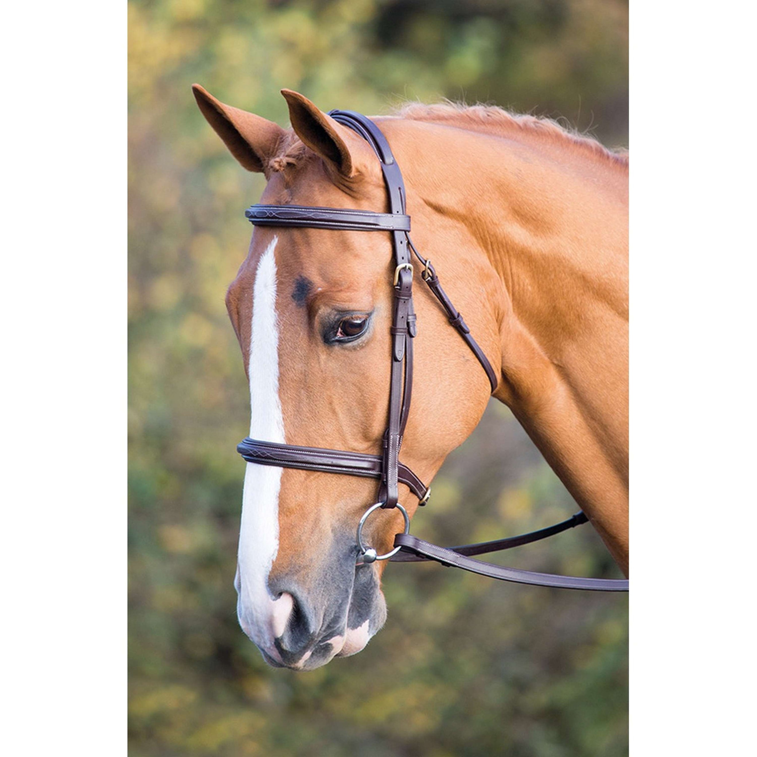 Salisbury Bridle Fairford Australian Nut