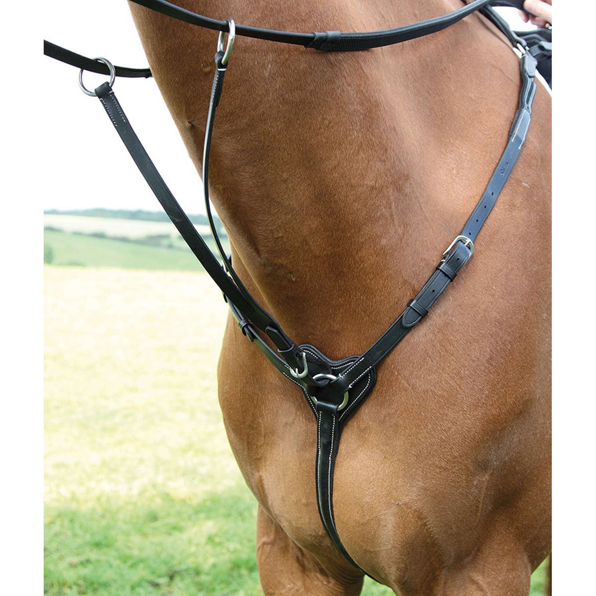 Salisbury Three Point Breastplate Black