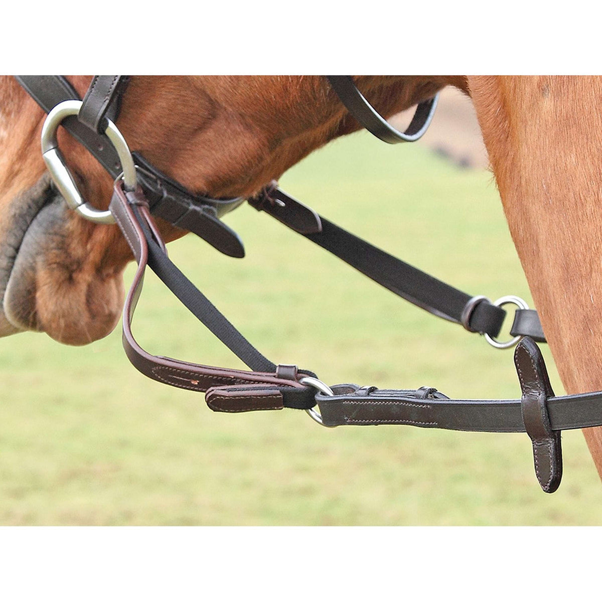 Shires Rein Attachment Black