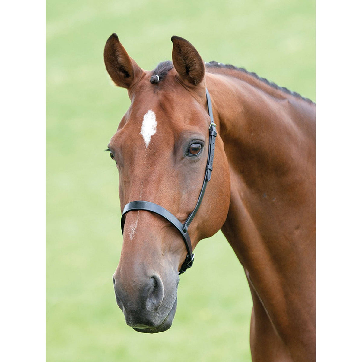 Blenheim Noseband Cavesson Black