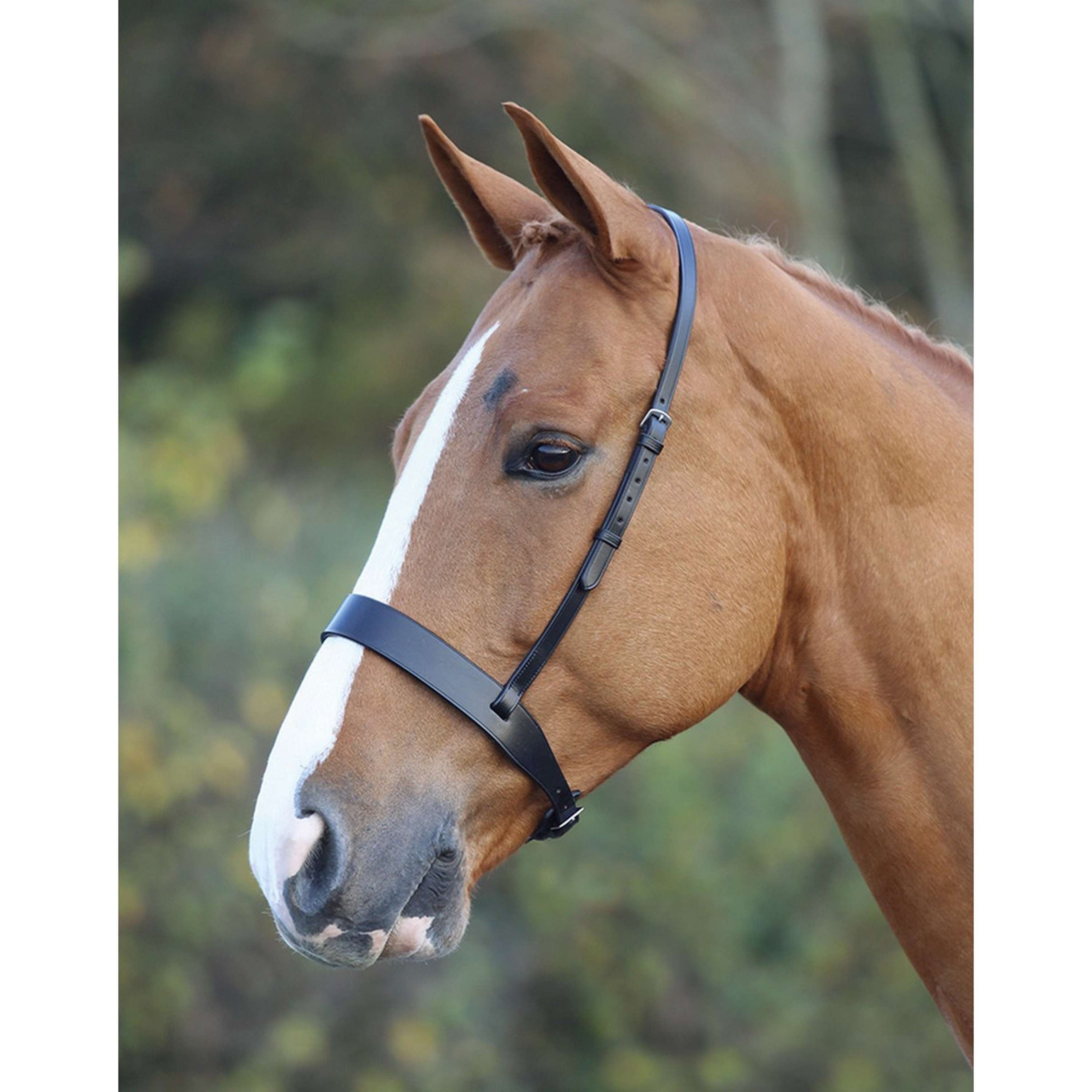 Blenheim Noseband Hunter Cavesson Brown