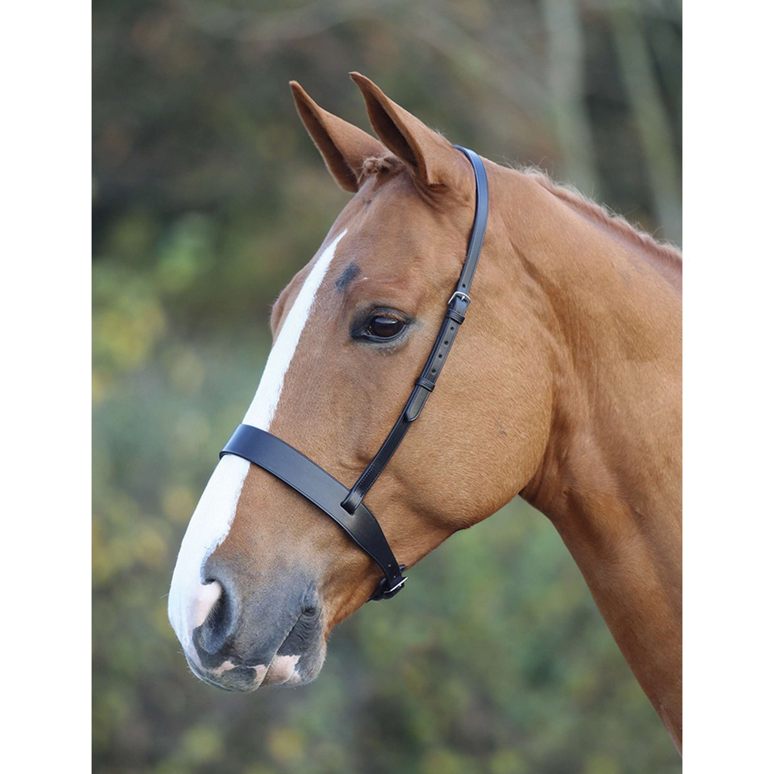 Blenheim Noseband Hunter Cavesson Black