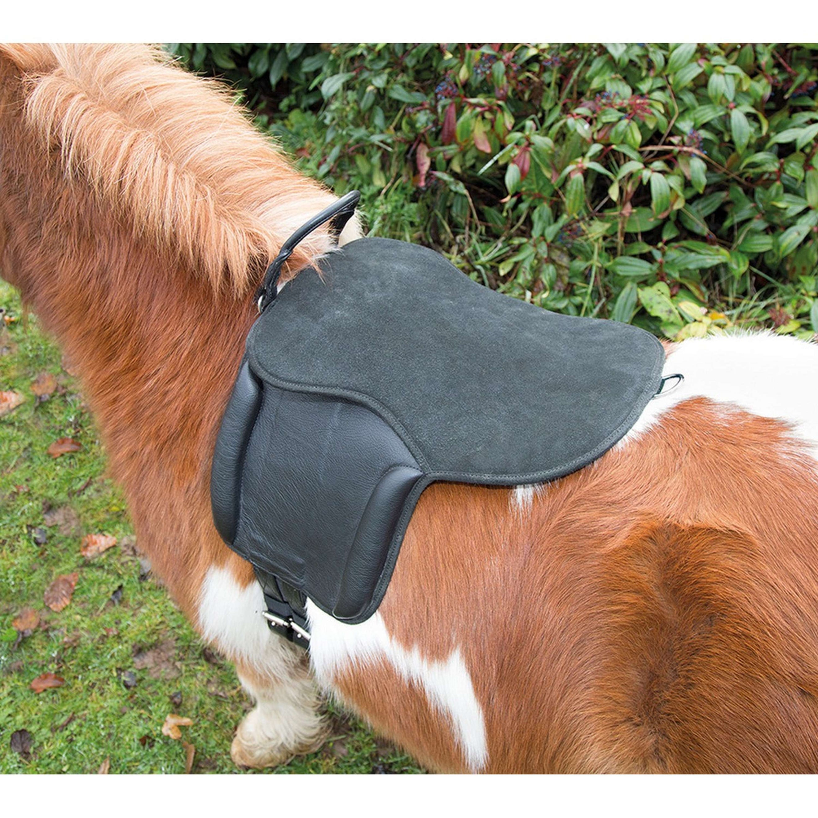 Aviemore by Shires Pony Pad Black