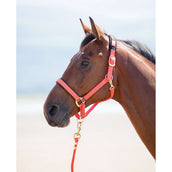 Shires Headcollar Topaz Nylon Orange