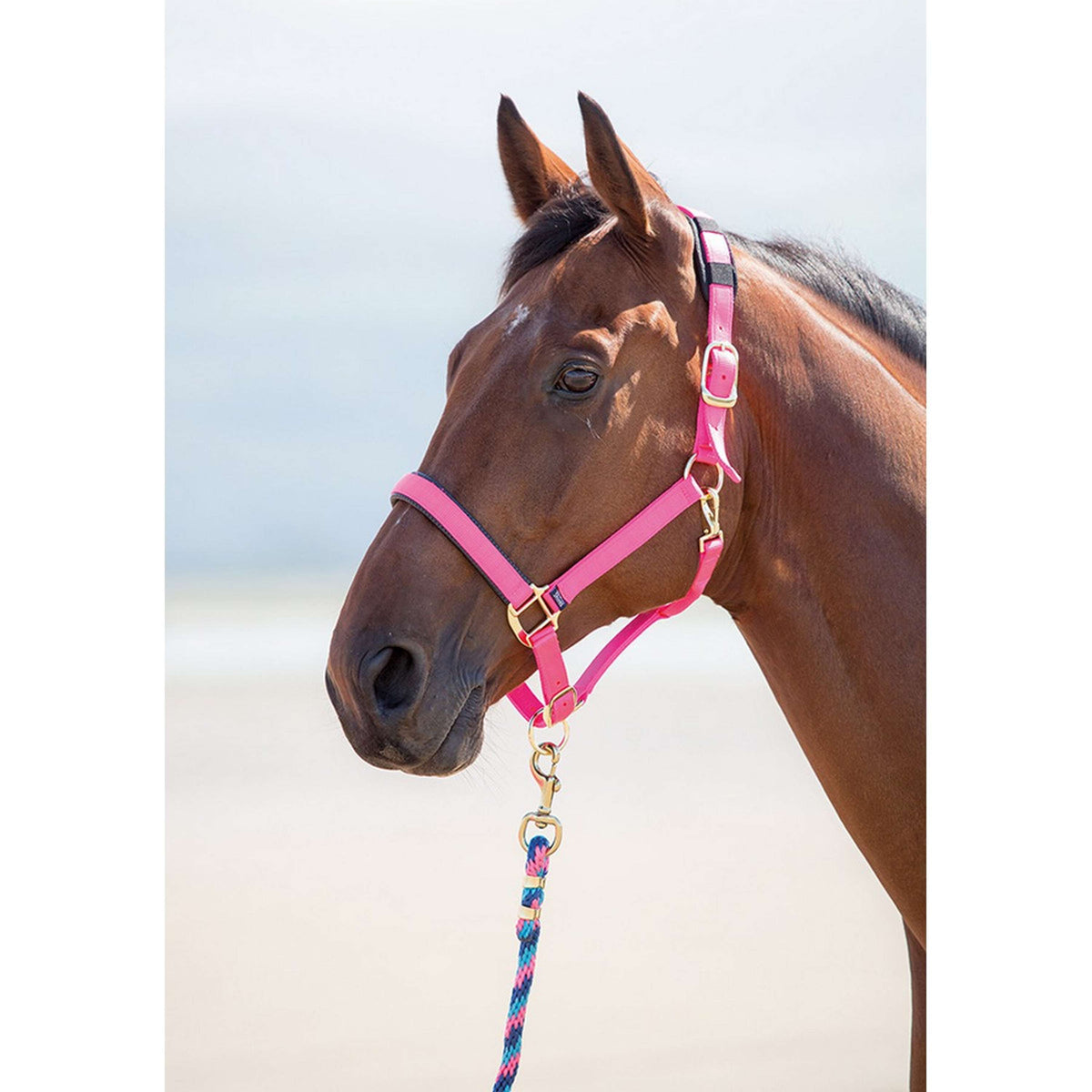 Shires Headcollar Topaz Nylon Pink