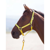 Shires Headcollar Topaz Nylon Yellow