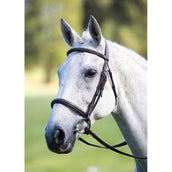 Avignon by Shires Bridle Cavesson Padded & Adjustable Black